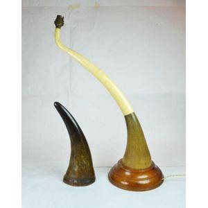 Natural History: a Rhino horn together with an ivory and Rhino…