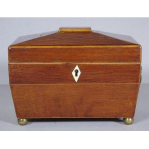 Regency Casuarina tea caddy, with sarcophagus shape, brass…