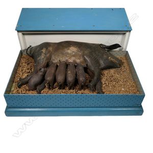 A vintage sow and piglets automaton, electric motor driven,…