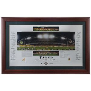 Details about   ✺Framed✺ 2019 ST GEORGE ILLAWARRA DRAGONS NRLW Poster 45cm x 32cm x 3cm 