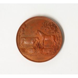 An 1876 Waikato Agricultural & Pastoral Association 1st Prize…