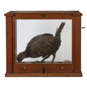 A taxidermied kiwi bird in glass case (unassociated), 19th…