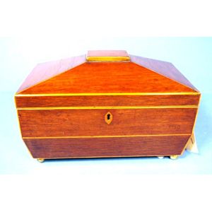 Large late Regency casuarina sarcophagus box, with cedar…