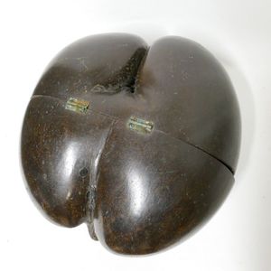 A coco de mer box, the polished double coconut shell turned…