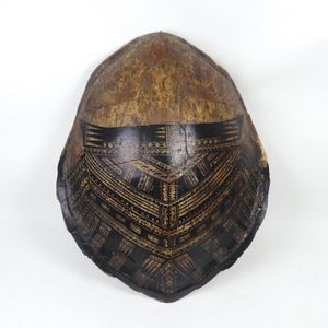 A large turtle shell, painted with traditional Polynesian…