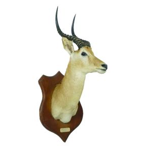 A taxidermy shoulder mount of a Grant's gazelle, the horns…