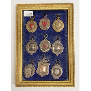 Nine various fob medallions framed six medallions with various…