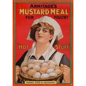 Advertising: 'Armitage's Mustard Meal for Poultry 'Hot Stuff'…