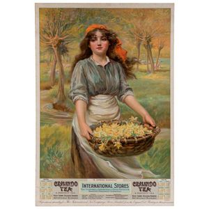 Tea Advertisement: 'A Spring Dawning.' Ceylindo Tea. A Perfect…