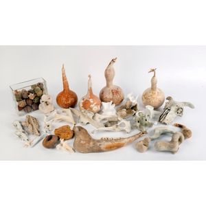 Natural History collection of shells, sea urchins, gourds,…