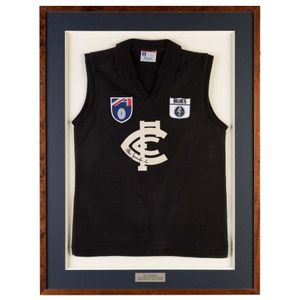 Jesaulenko Signed Carlton Jumper - Framed & Mounted - Sporting - AFL ...