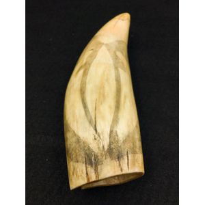 Scrimshaw whales tooth, man blowing large sea shells, 15.5 cm…