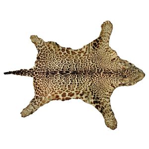 An uncommon old Bolivian jaguar skin with mounted head, the…