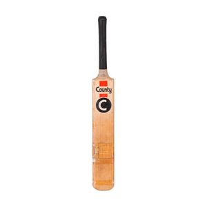 Match-Used Cricket Bat: Graeme Wood's Century Scorer - Sporting ...