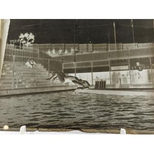 18 glass slides featuring Scots in Revelry, sports & Nature.…