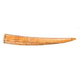 Scrimshaw walrus tusks - price guide and values