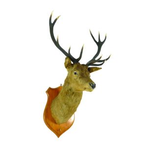 A large taxidermy red deer stag head mount, 'Monarch of the…