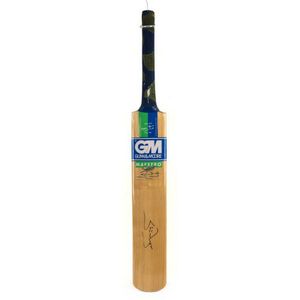 gm maestro cricket bat