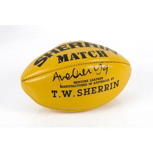 AFL/VFL signed and souvenir Sherrin and other footballs - price guide ...