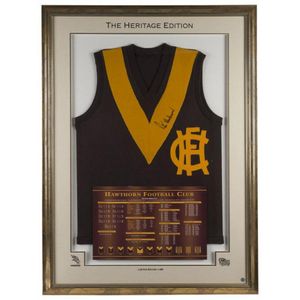 Souvenir Or Collectable Hawthorn Football Club Jumpers Price Guide And Values