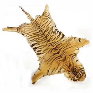 An old large tiger skin with head, length 250 cm. Some distress.
