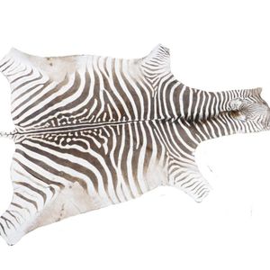 A Burchell's zebra skin rug, in good order. Length from tip to…