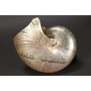 19th century shell by C.H Wood, c.1860, beautifully engraved…