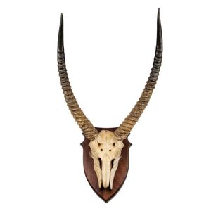 A pair of mounted Waterbuck horns, Tanzania, early 20th century.…