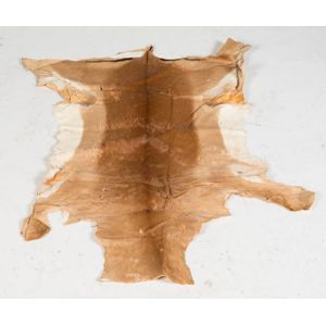 An African Impala skin, Tanzania, mid 20th century. 120 x 110 cm