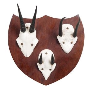 Three mounted sets of African Dik horns mounted on single…