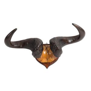 A pair of Wildebeest mounted horns, Tanzania, early to mid 20th…