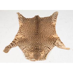 A leopard skin rug, early 20th century. 155 cm x 125 cm