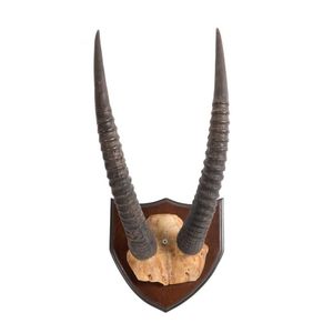 A pair of mounted Roan Antelope horns, Tanzania, mid 20th…