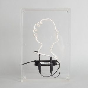 A perspex case Queen Elizabeth Neon, featuring blue and yellow…