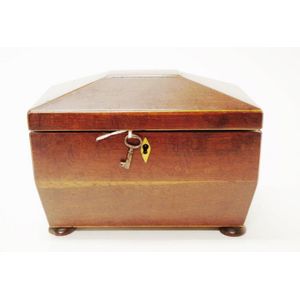 Regency casuarina tea caddy sarcophagus shape, with boxwood…
