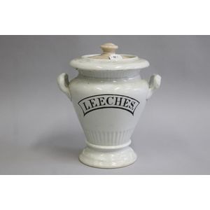 Antique Victorian Staffordshire twin ironstone Leeches jar with…