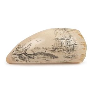 Whaling Scene Engraved on Scrimshaw Whale's Tooth, 13cm Long ...