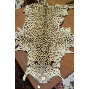 Leopard Fur Pillow, Springbok Skin 16x16 40x40cm For Sale at 1stDibs