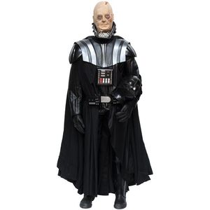 Star Wars: Darth Vader - Lifesize model created by artist Paul…
