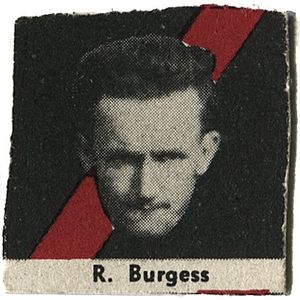 1956 Argus 'Fireside Footballers', complete set of the Essendon…
