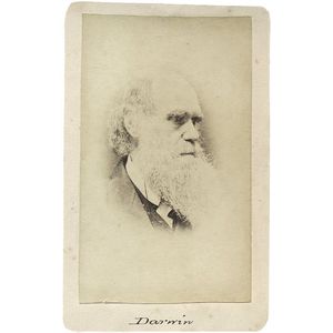 Cartes-de-visite depicting Charles Darwin in later life (2…