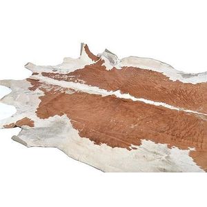 Extremely large brown and white cow hide rug, 245 cm long, 240…