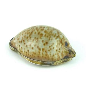 A silver-gilt mounted cowrie shell snuff-box, French 18th…