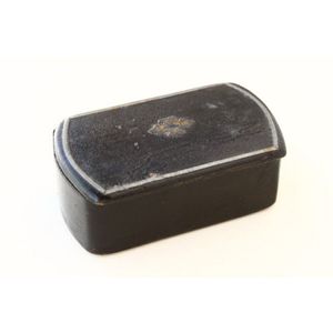 Tortoise Storage Box with Lid, Black, Handpainted, Floral Paper Mache