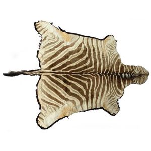 An adult zebra skin floor rug, labelled 'Hand Tanning by Safari…