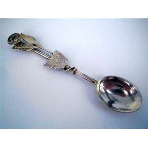 Six Australian silver coffee spoons, each with Australian flora…