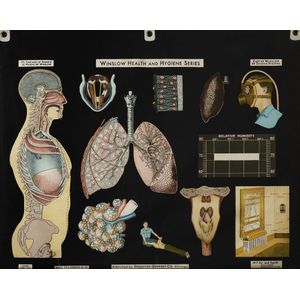 An original Winslow Health and hygiene poster, Published by…