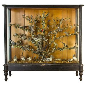 A large glass fronted display case containing a fancy…