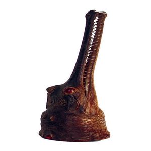A taxidermied small freshwater crocodile head, one glass eye…