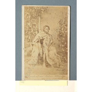 Portrait of an Aboriginal woman, carte de visite albumen print…